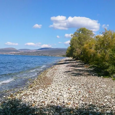 Areti Holiday In Front Of The Sea With A Large Garden Βίλα *