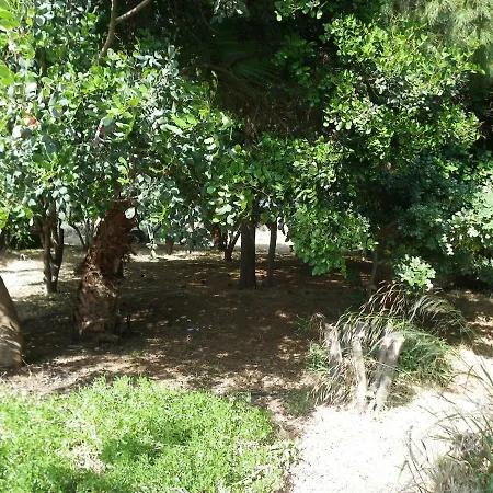 Βίλα Areti Holiday In Front Of The Sea With A Large Garden *