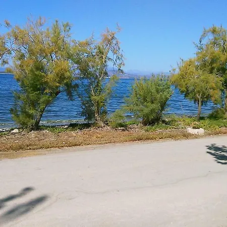 Areti Holiday In Front Of The Sea With A Large Garden