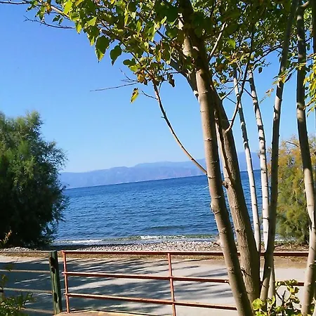 Areti Holiday In Front Of The Sea With A Large Garden