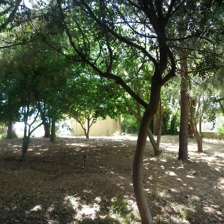 Βίλα Areti Holiday In Front Of The Sea With A Large Garden Ναύπλιο