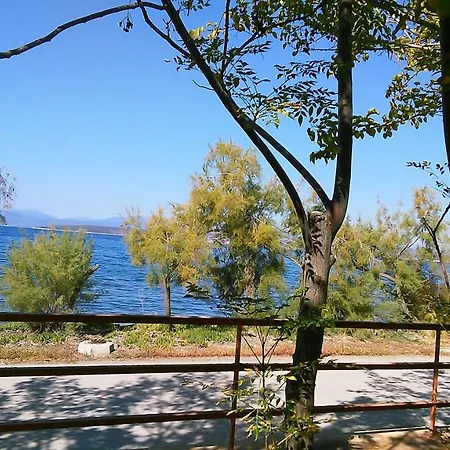 Areti Holiday In Front Of The Sea With A Large Garden *